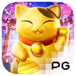 videoplayerwatch: Lucky Neko